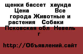 щенки бассет- хаунда › Цена ­ 20 000 - Все города Животные и растения » Собаки   . Псковская обл.,Невель г.
